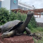 Las primeras carreras de la UCE en las Galápagos serán de Biología Marina y Turismo
