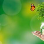 Día Mundial de la Salud Ambiental